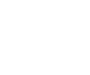 Just Digital Gurus Official Logo - White Background